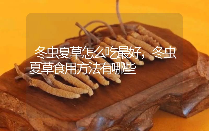 冬蟲(chóng)夏草怎么吃最好，冬蟲(chóng)夏草食用方法有哪些
