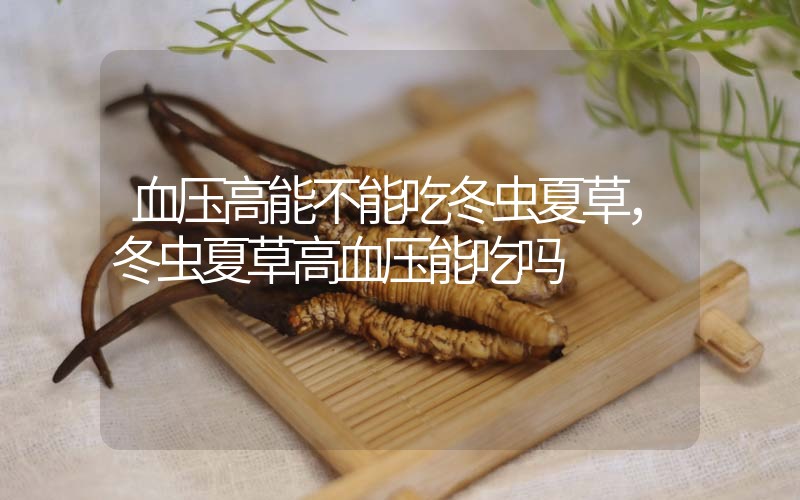 血壓高能不能吃冬蟲(chóng)夏草，冬蟲(chóng)夏草高血壓能吃嗎？