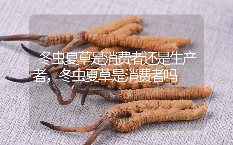 貧血吃冬蟲夏草有效果嗎，貧血虛弱者可以用冬蟲夏草嗎？