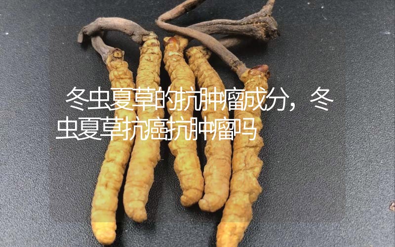 冬蟲夏草的抗腫瘤成分，冬蟲夏草抗癌抗腫瘤嗎？