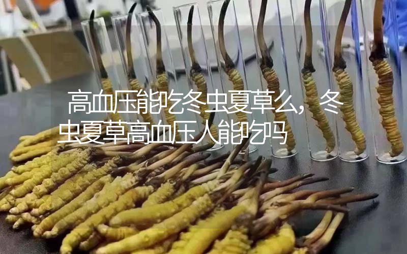 高血壓能吃冬蟲夏草么，冬蟲夏草高血壓人能吃嗎