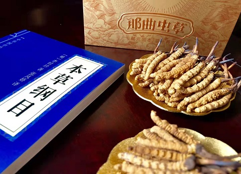 冬蟲夏草真就那么好嗎？它的主要功能是什么呀