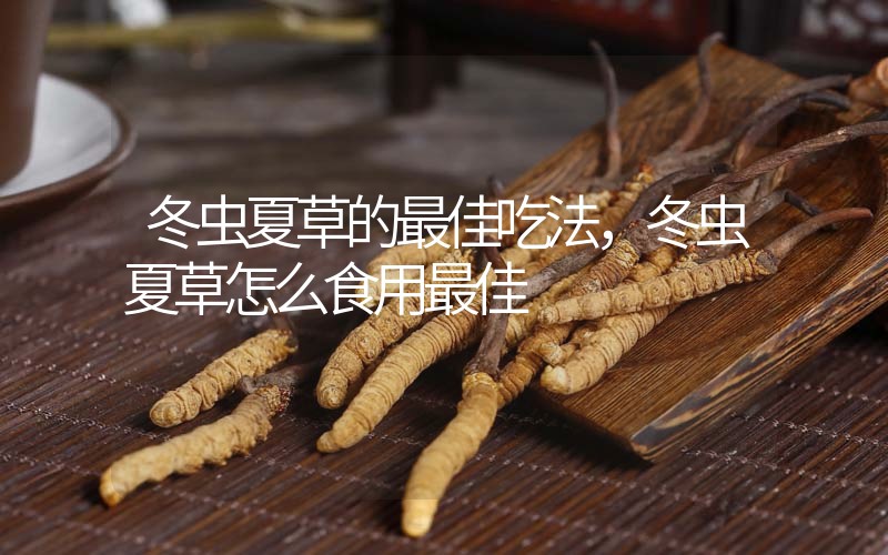 冬蟲夏草的最佳吃法，冬蟲夏草怎么食用最佳