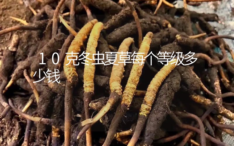 10克冬蟲夏草每個(gè)等級(jí)多少錢？