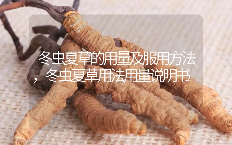 冬蟲夏草的用量及服用方法，冬蟲夏草用法用量