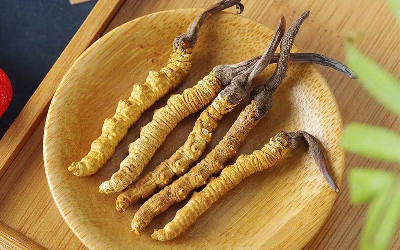 冬蟲夏草作用可以調節(jié)身體肝臟功能嗎？