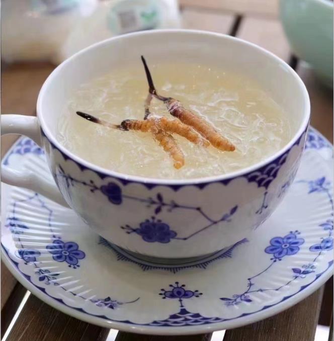 養(yǎng)生小竅門：冬蟲夏草燉什么好喝？