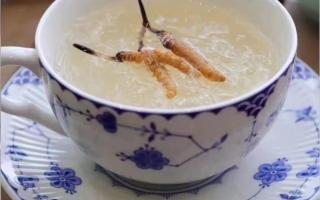 端午節(jié)應(yīng)該怎么吃冬蟲夏草？