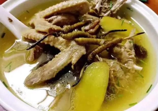 冬蟲(chóng)夏草和哪些食材可以一起煲湯？