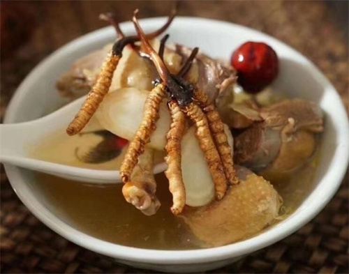 冬蟲夏草可以燉海鯽魚嗎？