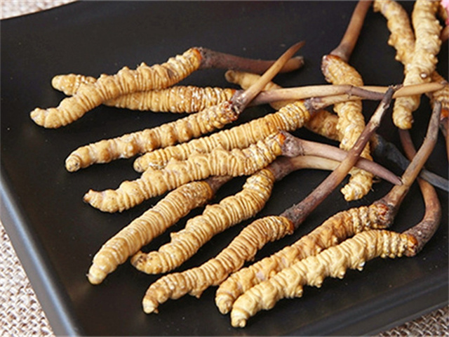 真的冬蟲夏草什么價格？影響冬蟲夏草價格波動的3個關(guān)鍵因素