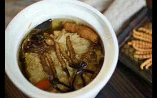 冬蟲夏草怎么食用？解鎖滋補(bǔ)養(yǎng)生的正確打開(kāi)方式
