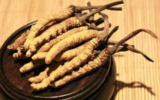 冬蟲夏草的價格一克：為何如此昂貴？
