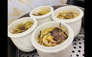 冬蟲夏草燉什么最好？5種黃金搭配讓滋補效果翻倍