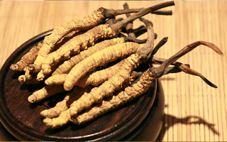 未來冬蟲夏草會(huì)漲價(jià)嗎？