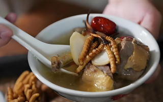 冬蟲夏草搭配有道，滋養(yǎng)肺部效果妙