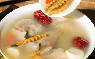 冬蟲夏草魚丸湯怎么做