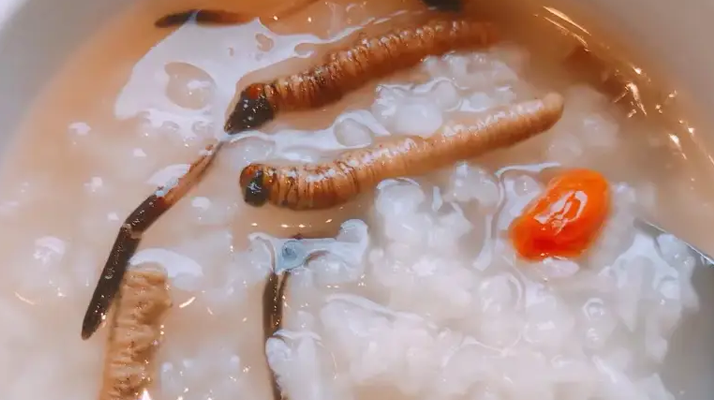 冬蟲(chóng)夏草適合哪些人群？精準(zhǔn)匹配與禁忌提醒