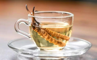 一瓶酒泡多少冬蟲(chóng)夏草？科學(xué)搭配有講究