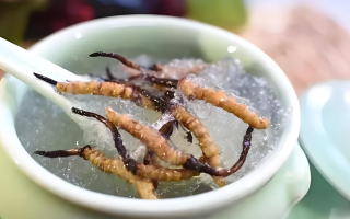 十根冬蟲夏草能泡幾斤酒？泡酒比例與細(xì)節(jié)指南