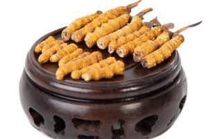 冬蟲夏草的頭期斷草好嗎？有沒(méi)有營(yíng)養(yǎng)價(jià)值？
