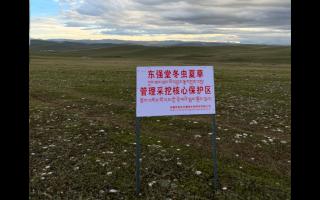 高原之上，蟲草共生；守護(hù)生態(tài)，東強(qiáng)堂與你同行